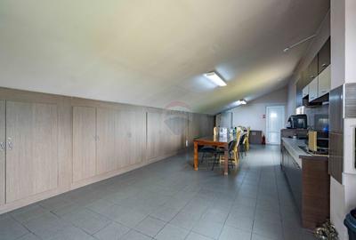 Proprietate industrială 5 hale, teren 21,105 mp, Santion, - 16