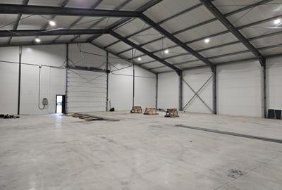 Zona Est - Drumul Intre Tarlale - Cernica - Pallady - Autostrada A2 investitie - 1