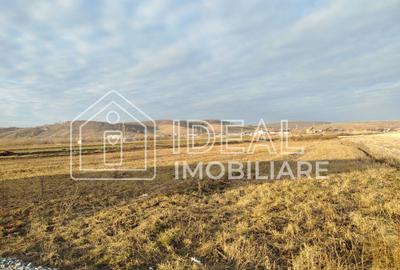 Teren dezvolatre duplex sau case individuale în Cristian - 2