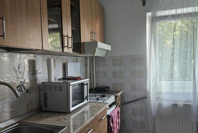Parcul Trandafirilor, garsoniera in bloc de apartamente, loc parcare - 7