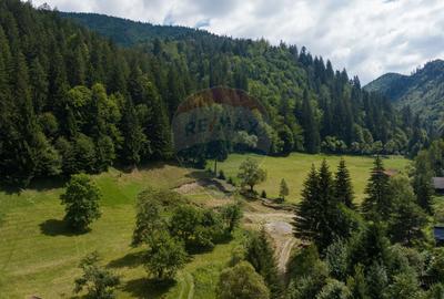 Teren 2.891 mp Șimon – Bran | Poziție rară, potențial turistic - 5