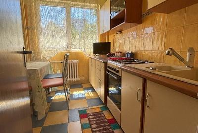 Apartament 2 camere, de inchiriat, complet mobilat, chiar lângă metrou Gorjului - 5