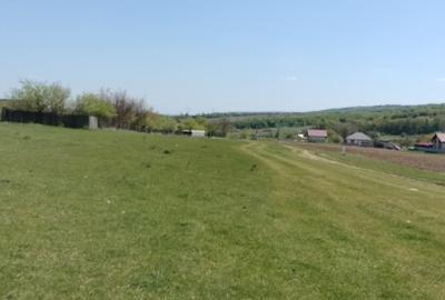 Teren extravilan 7.200 mp Bordea - Grajduri/ Oportunitate Investiție - 2