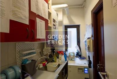 Cotroceni | Pretabila Clinica - Spa | Vila eleganta  | Terasa - 22