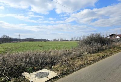 Teren de vanzare in Silistea Snagovului - 13.800 mp. - 4