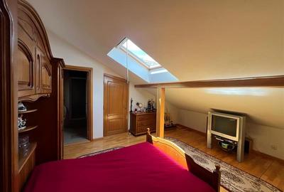 PTA DOMENII, S+P+1+M, 6 CAMERE, RENOVATA, CURTE! - 28