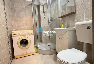 Apartament 1 camera Pacurari Pentru Poni - 5