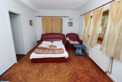 Vila turistica de vanzare in Zamora, Busteni - 4