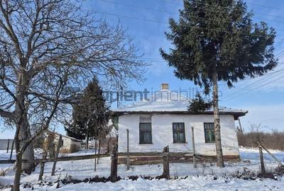 Casa bătrânească 110 mp cu anexe si teren generos de 2.263 mp - 2