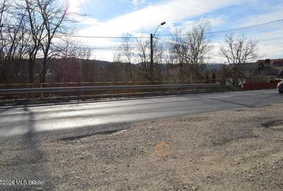Valea Ursului - DN 7, Teren Stradal 2744 mp - 13