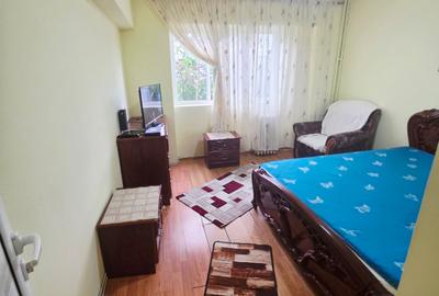 Vanzare apartament 2 camere decomandat, Malu Rosu, parter inalt - 17