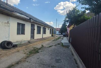 Lehliu gara casa - 4