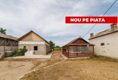Casă individuală cu 1 camere în Lunca Corbului