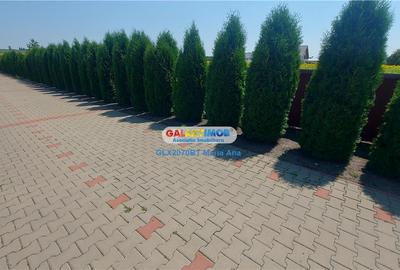 OPORTUNITATE DE INVESTITIE CASA P+M, TEREN 10.000 MP. HUTANI, VLADENI - 8