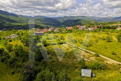 Teren Intravilan 977 mp de Vânzare în Cisnădioara – Locație de Poveste - 3