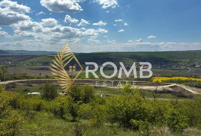 Teren agricol extravilan de 45000 mp, în Luna de Jos