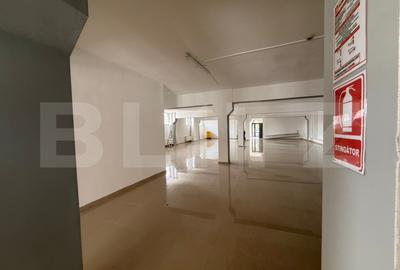 Spațiu comercial, de 750.00 mp, în Lipovei