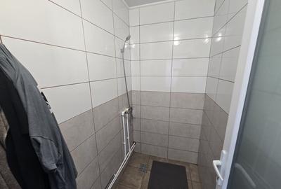 Inchiriere  HALA Industriala - Bucium JISK | 220 mp | - 9