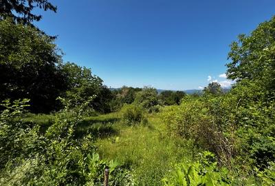Teren doua loturi 3100 mp. - 2800 mp. Dăesti - Valcea - 12