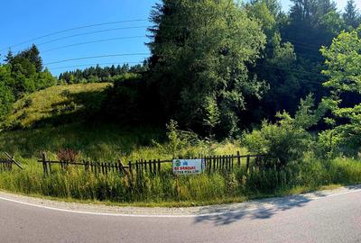 Teren extravilan de vânzare – Șinca Nouă, Brașov | 10.290 mp - 1