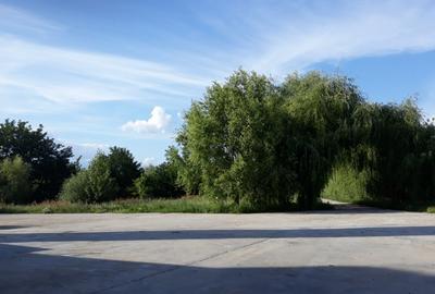Hala cu dotari, afacere cu clienti, birouri-vestiare, teren, E60, langa Oradea - 3