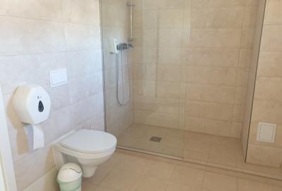 Apartament 2 camere mobilat si utilat modern zona Str. Lunga - 12