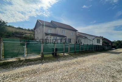 Casă individuală cu 8 camere în Mierlău