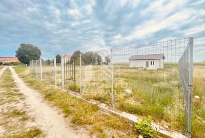 Teren Intravilan cu Constructie Zimandu Nou - 18