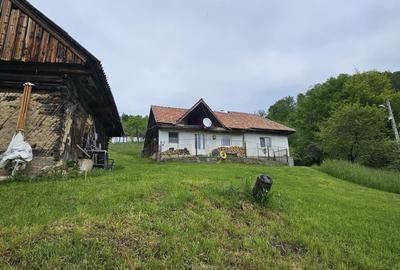 Domeniu Premium 1.7 Ha Intravilan Zărnești | Lizieră Pădure | Ideal Resort - 7