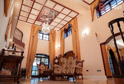 Proprietate unicata in stil clasic in Mosnita Noua - ID V7206 - 8