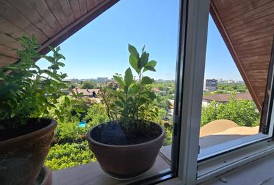 Penthouse 4 Camere Strada Zorilor, Fujitsu Dobroești - 27