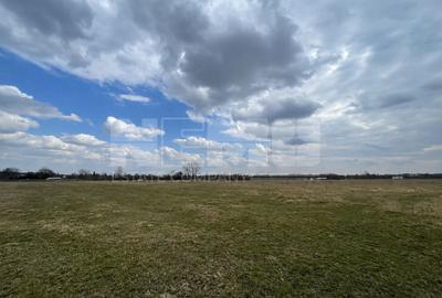 Teren Construcții extravilan de 2600 mp, în Horodnic de Sus