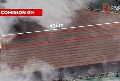 COMISION 0% Teren extravilan agricol 1 ha, Beregsau Mare - Pozitionare excelenta - 1