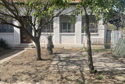 Casa solida si locuibila cu 3000 mp teren in proprietate Topolovat-Ictar Budint - 3