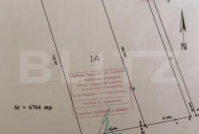 Teren Construcții intravilan de 6764 mp, în Leamna de Sus