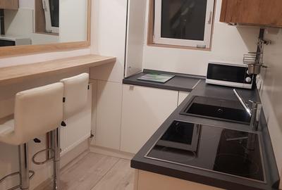 Apartament 2 camere de inchiriat Centru Civic - 6