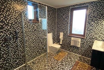 Vanzare Vila sau Casa de vacanta 7 camere Teren 1320mp Breaza - 19
