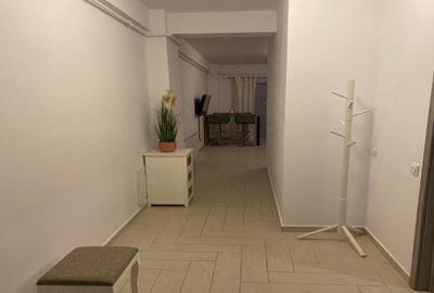 Apartament de inchiriat  zona Mall Doamna Stanca - 7