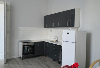 Apartament in zona centrala,finisat (cladire istorica ),mobilat,cu parcare - 13