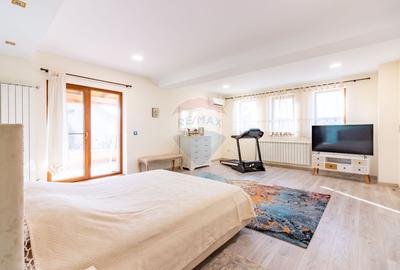 Vilă P+E+M cu 4 camere, 294 mp, Berceni/Ilfov - 14
