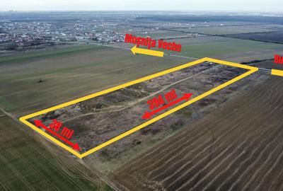 Teren Construcții extravilan de 15000 mp, în Moșnița Veche