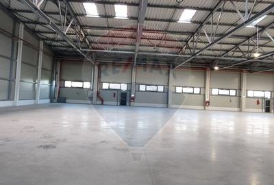 Spațiu industrial de 875mp de închiriat în zona Exterior Vest - 4