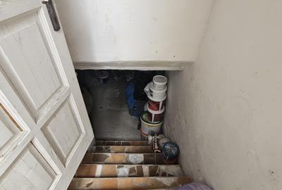 Casă individuală cu SAD, P+M, 2 apartamente, Timișoara, zona Lipovei, comision 0 - 38