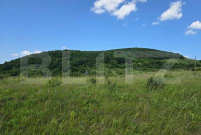 Teren agricol intravilan de 3800 mp, în Iris
