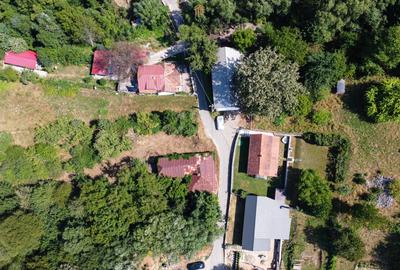 Teren 4.173 mp, front 60 m – Văliug, aproape de Lacul Gozna - 3