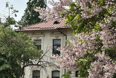 Casă cu 19 camere în Dacia