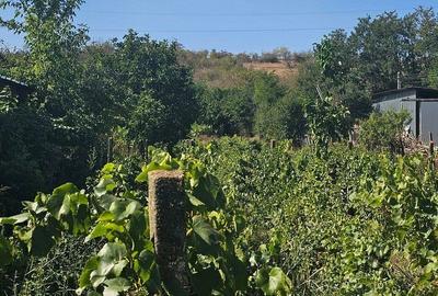 Teren agricol intravilan de 1800 mp, în Fârțănești