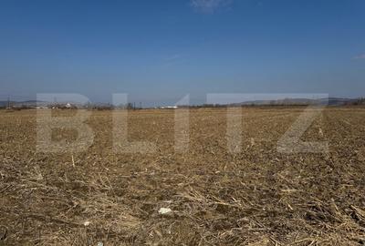 Teren agricol extravilan de 2900 mp, în Sud-Est