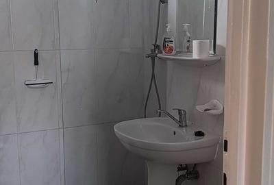 Apartament 2 camere în vilă, Sibiu – Ștefan cel Mare - 7