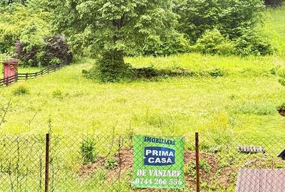 Teren Construcții intravilan de 6200 mp, în Tăuții-Măgherăuș